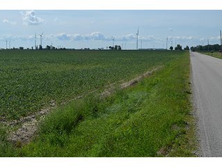 Property photo 26 - 233 +/- Acres Offered in 3 Tracts, Ohio Land Auction